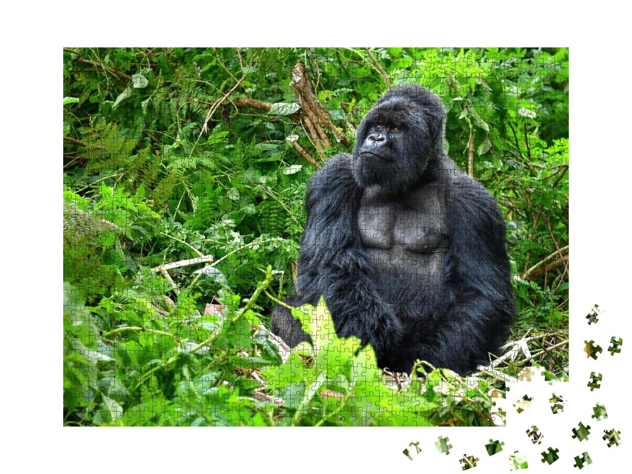 Puzzle de 1000 pièces « Gorille de montagne à dos argenté dans une forêt tropicale au Rwanda »