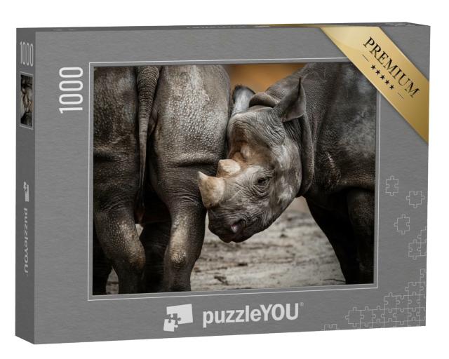 Puzzle de 1000 pièces « Un petit rhinocéros »