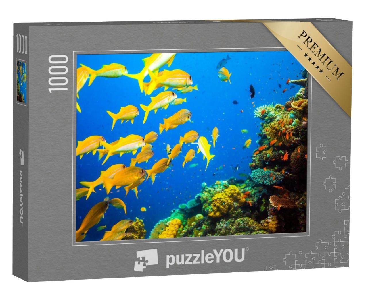 Puzzle de 1000 pièces « Banc de poissons jaunes dans un récif corallien »