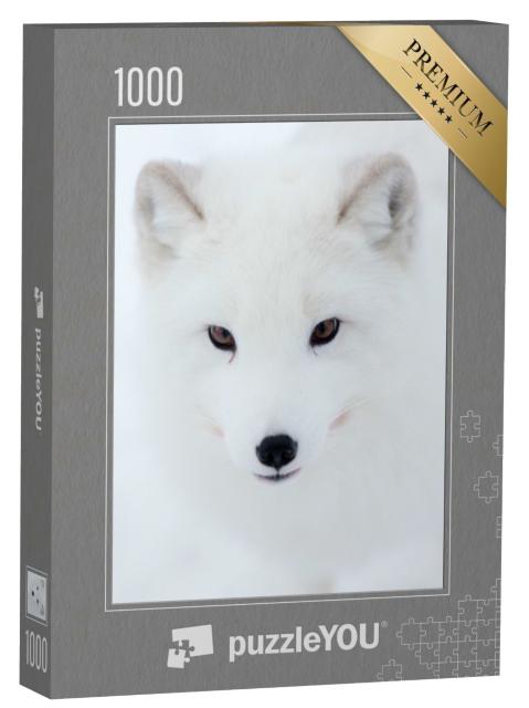 Puzzle de 1000 pièces « Le regard d'un renard polaire »