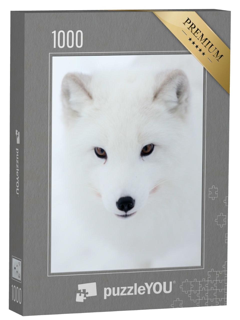 Puzzle de 1000 pièces « Le regard d'un renard polaire »