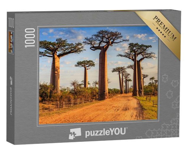 Puzzle de 1000 pièces « Des baobabs uniques dans l'allée des baobabs, Madagascar »