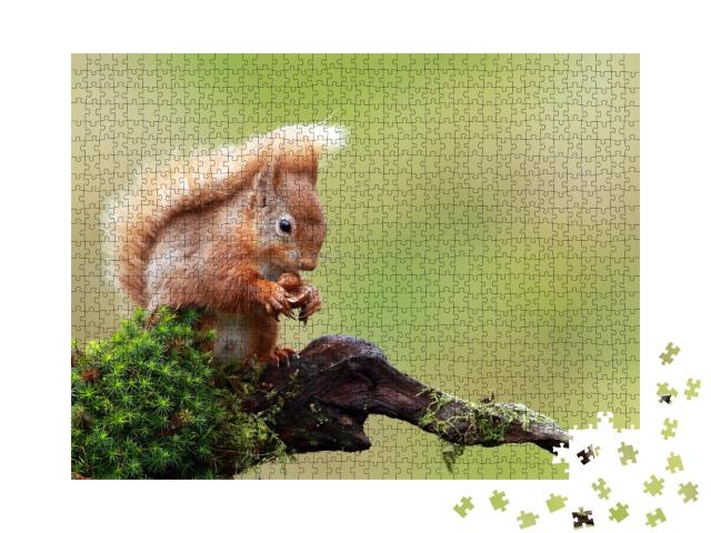 Puzzle de 1000 pièces « Écureuil rouge »