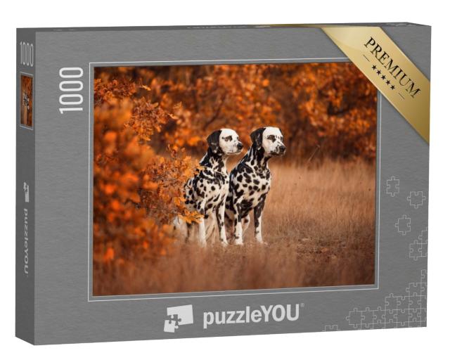 Puzzle de 1000 pièces « Deux dalmatiens en promenade »