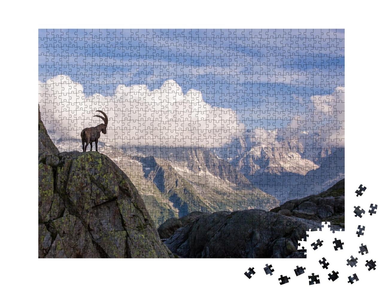 Puzzle de 1000 pièces « Bouquetins devant la chaîne de montagnes du Mont-Blanc »