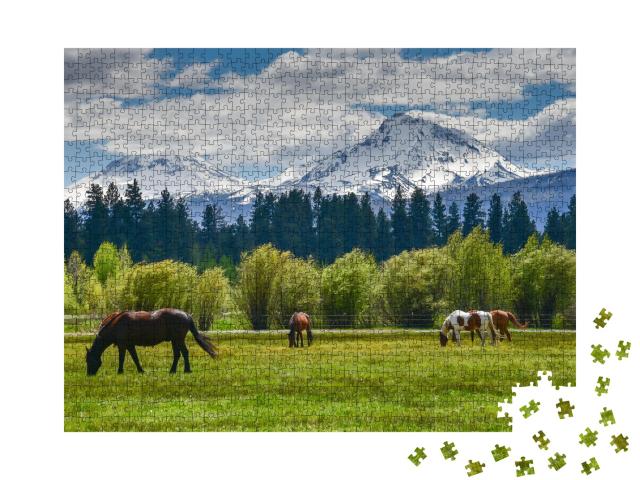 Puzzle de 1000 pièces « Chevaux à la Cascade Mountain Range, Oregon, USA »