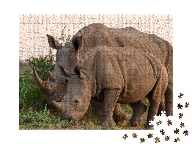 Puzzle de 1000 pièces « Rhinocéros blanc et son petit en Namibie »