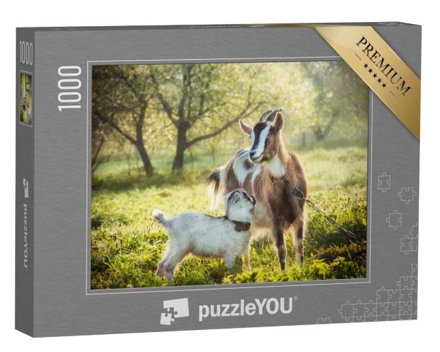 Puzzle de 1000 pièces « Chèvre avec un chevreau »