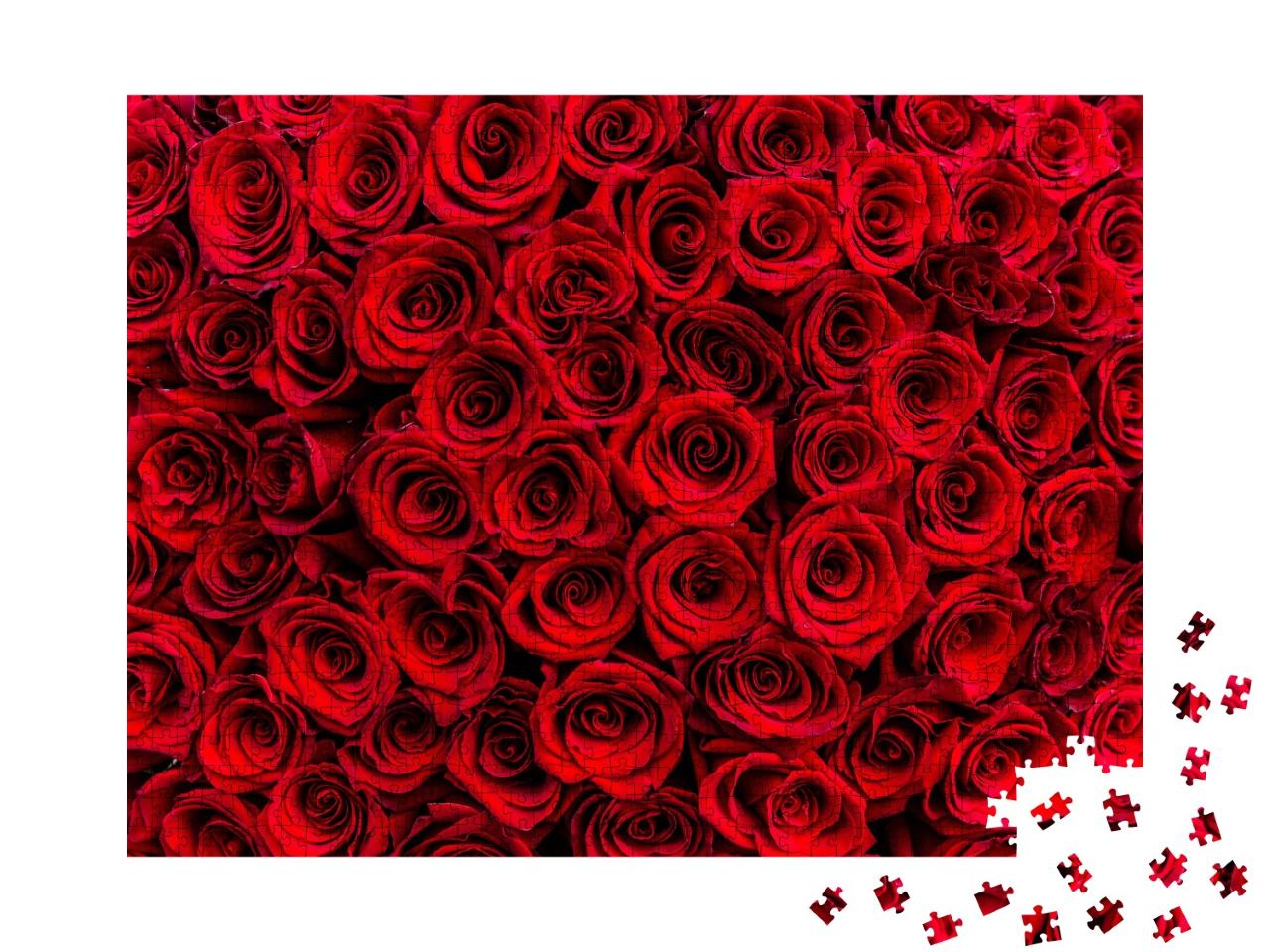 Puzzle de 1000 pièces « Une mer de roses rouge foncé »