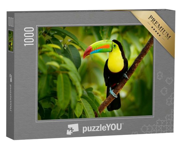 Puzzle de 1000 pièces « Toucan au Costa Rica »