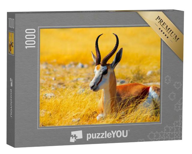 Puzzle de 1000 pièces « Antilope de taille moyenne : springbok dans les hautes herbes, parc national d'Etosha, Namibie »
