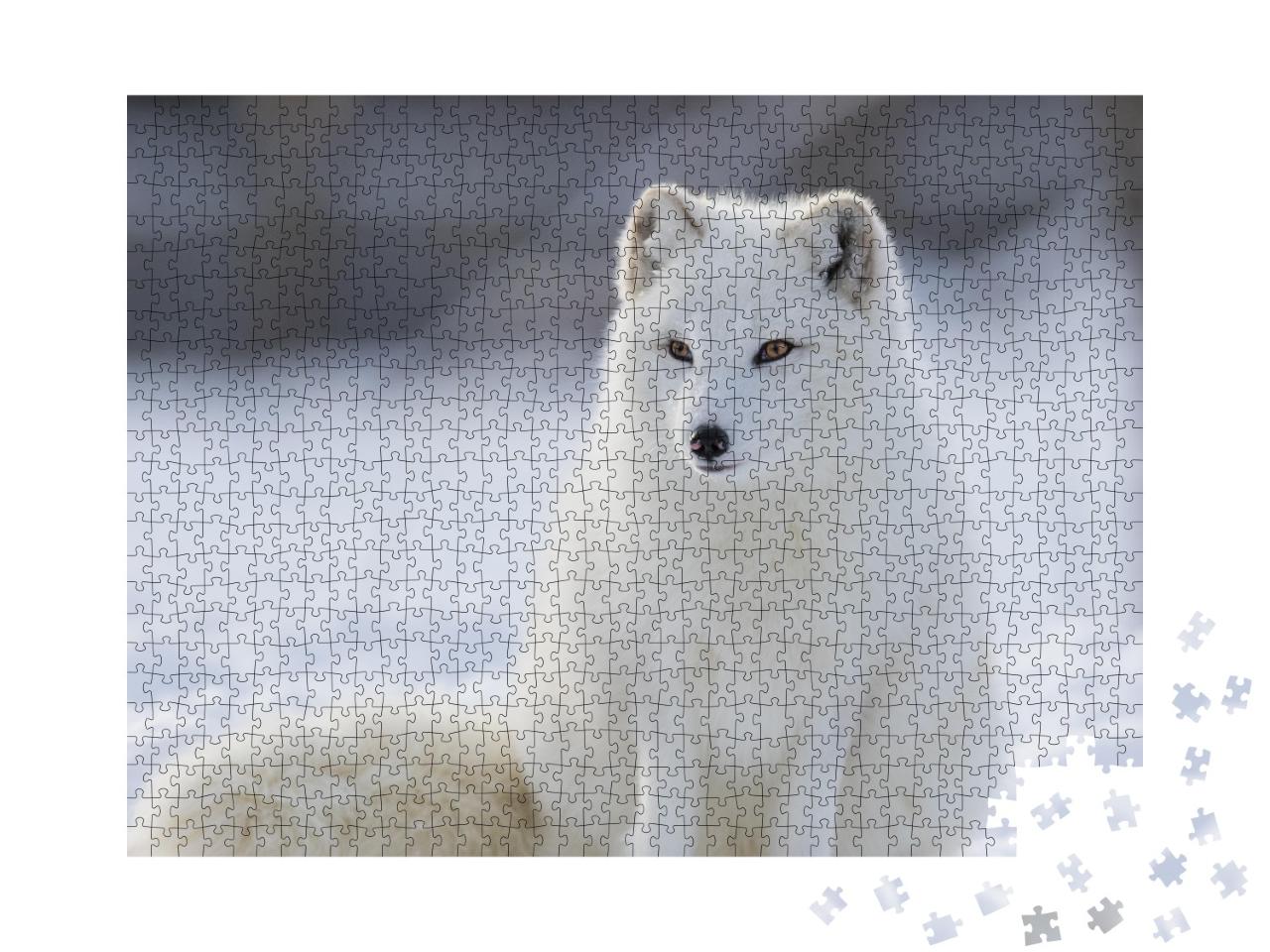 Puzzle de 1000 pièces « Renard polaire en hiver »