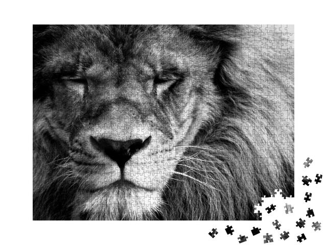 Puzzle de 1000 pièces « Portrait d'un beau lion »