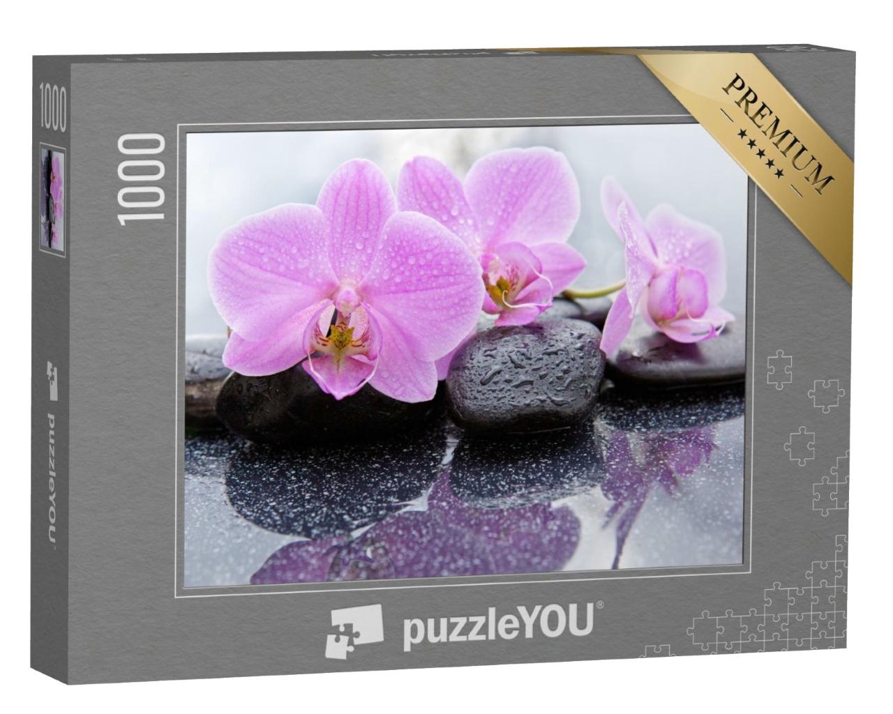 Puzzle de 1000 pièces « Fleurs d'orchidées rose pâle sur des galets mouillés »