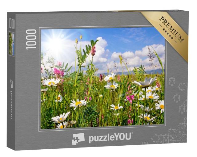 Puzzle de 1000 pièces « Prairie fleurie en été avec des marguerites »