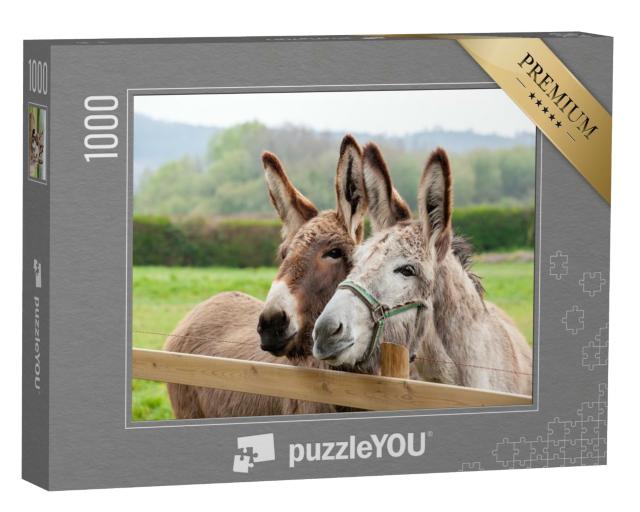 Puzzle de 1000 pièces « Famille d'ânes en plein air dans la prairie »