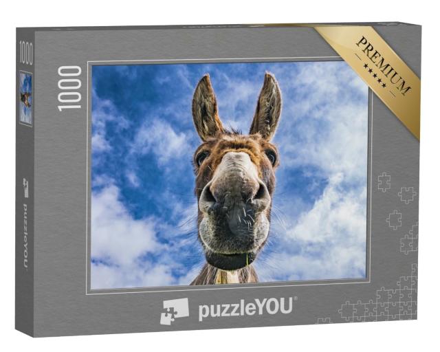 Puzzle de 1000 pièces « L'âne en gros plan »