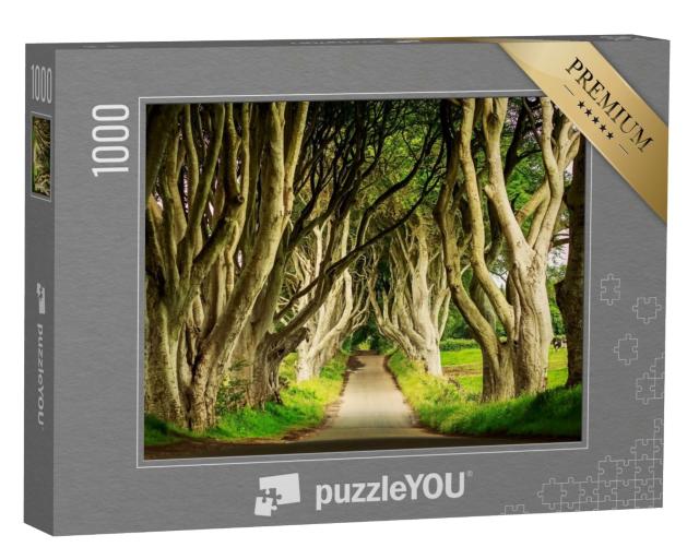 Puzzle de 1000 pièces « Dark Hedges Buchenallee, Bregagh Road, Nordirland »