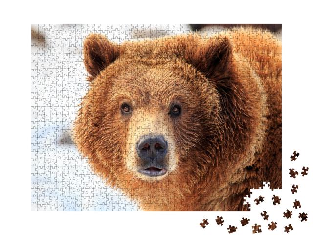 Puzzle de 1000 pièces « Grizzly »