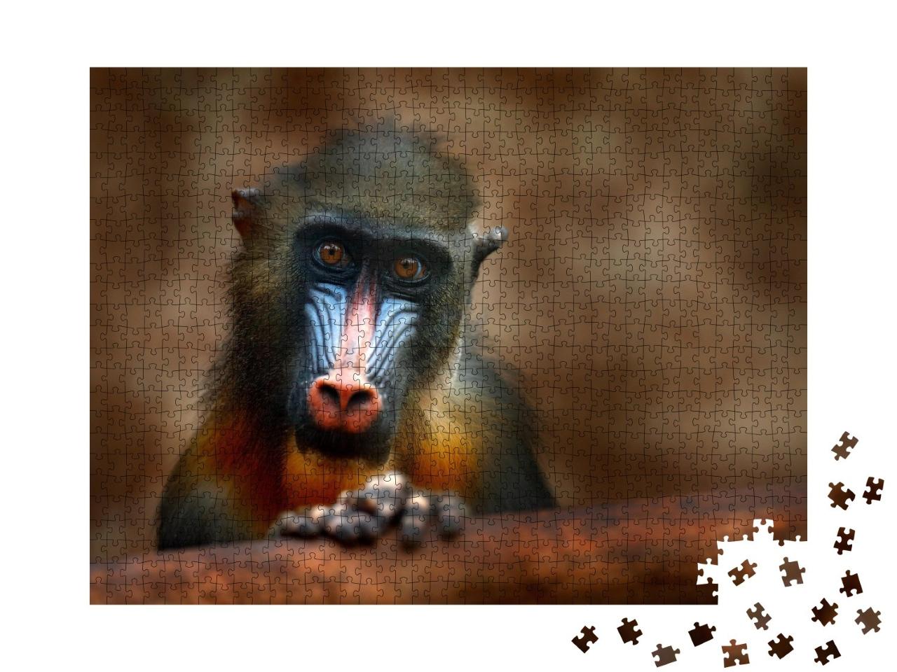 Puzzle de 1000 pièces « Le mandrill : un singe d'Afrique centrale »