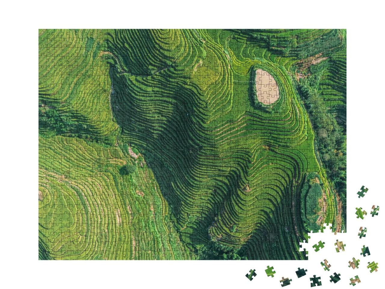 Puzzle de 1000 pièces « Vue aérienne de rizières vertes et jaunes en Chine »