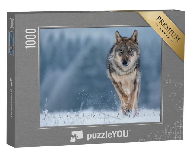 Puzzle de 1000 pièces « Étude d'un loup gris »