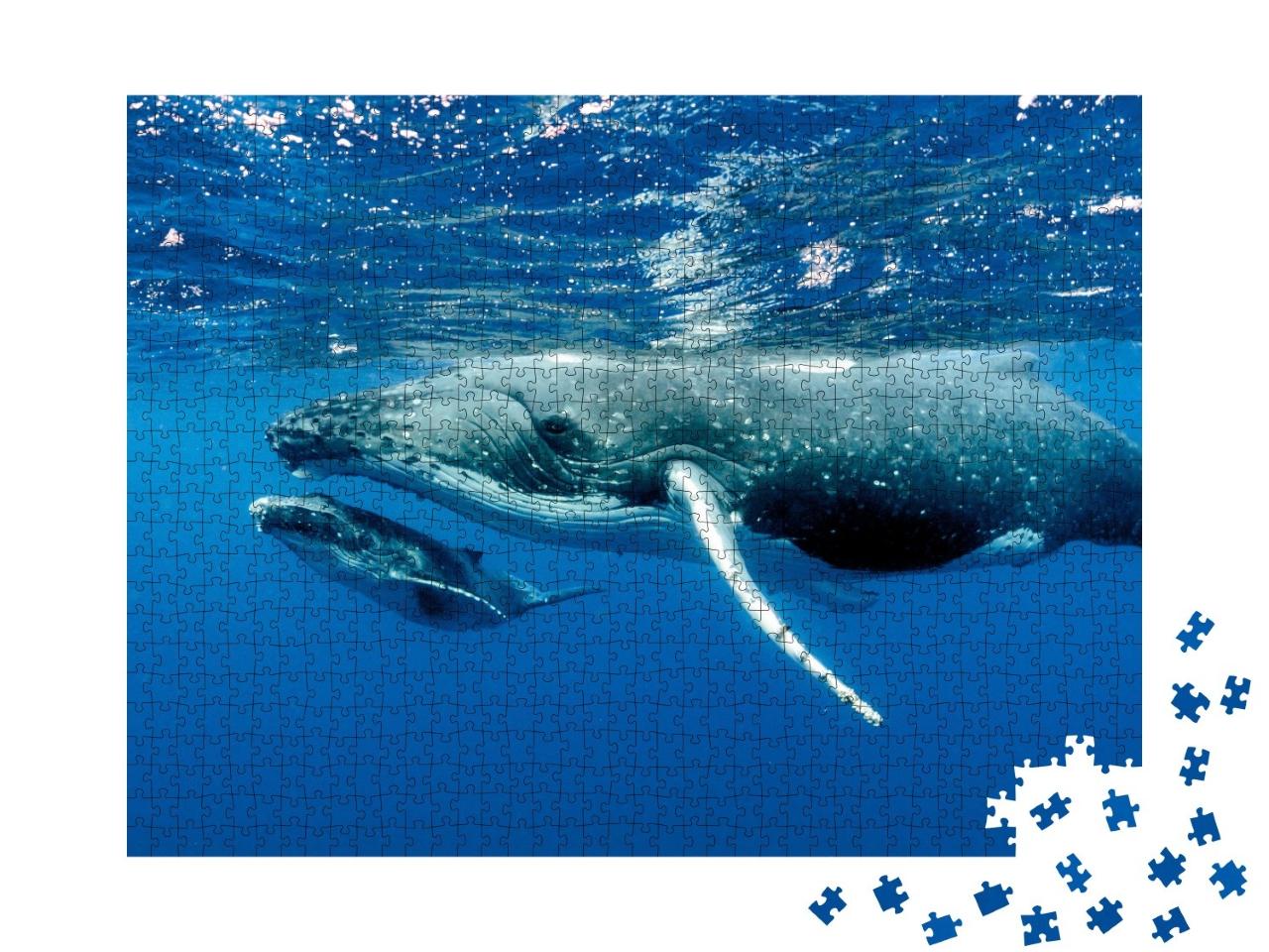 Puzzle de 1000 pièces « Deux baleines à bosse sous la surface de l'océan Pacifique »