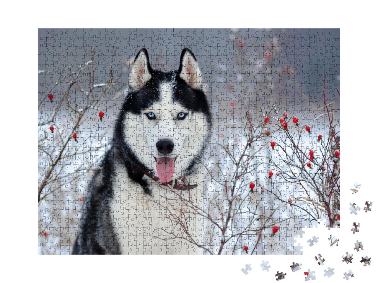 Puzzle de 1000 pièces « Husky sibérien aux yeux bleus en hiver »