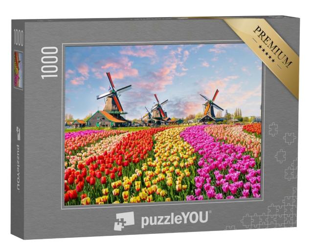 Puzzle de 1000 pièces « Moulins à vent idylliques et tulipes, Pays-Bas »