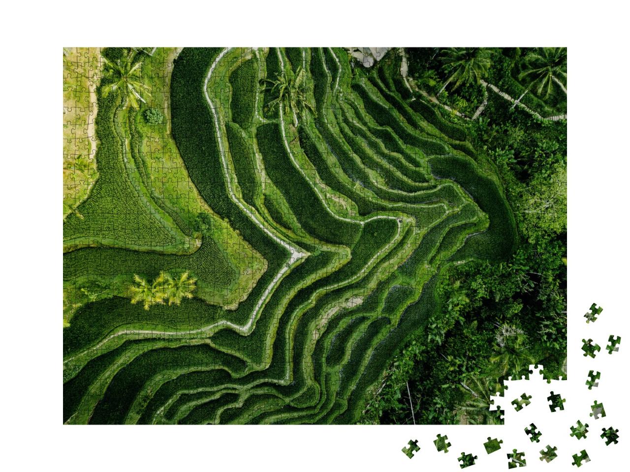 Puzzle de 1000 pièces « Plantation de riz à Bali vue d'en haut, Indonésie »
