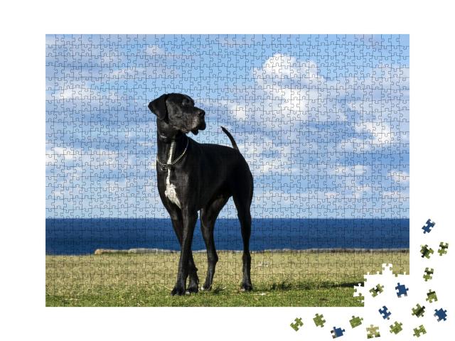 Puzzle de 1000 pièces « Dogue allemand à la mer »