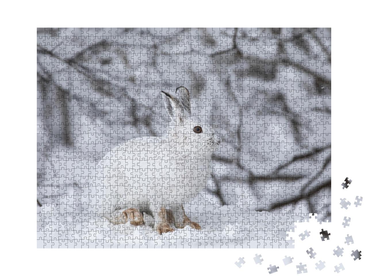 Puzzle de 1000 pièces « Lièvre blanc dans l'hiver canadien »