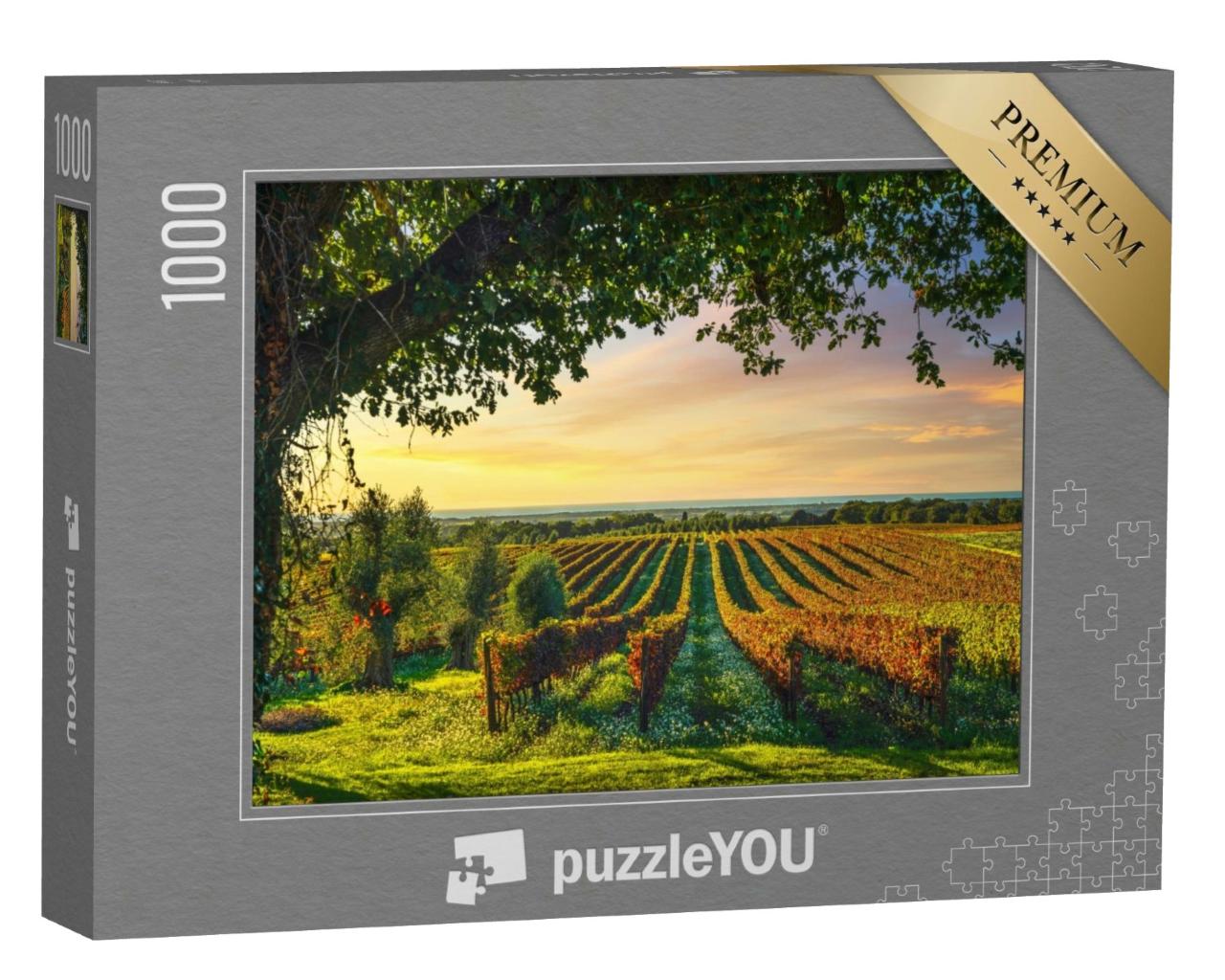 Puzzle de 1000 pièces « Vignoble de Bolgheri au coucher du soleil, Toscane, Italie »