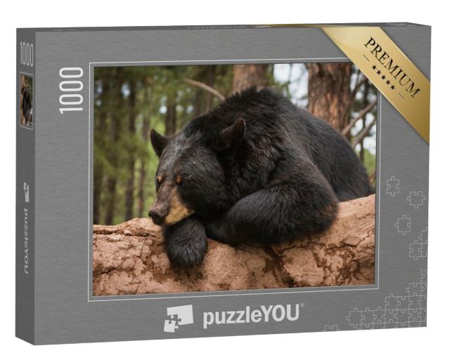 Puzzle de 1000 pièces « Un ours sur un tronc d'arbre »
