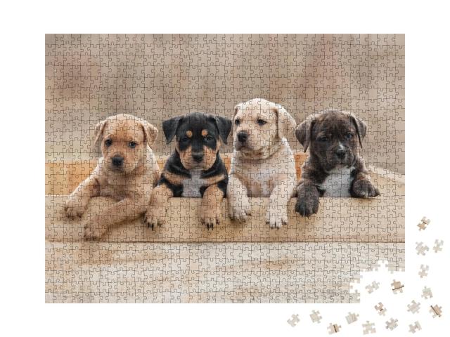 Puzzle de 1000 pièces « Chiots Staffordshire Terrier américain dans un box »
