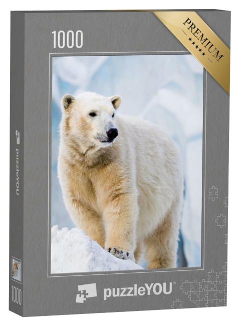 Puzzle de 1000 pièces « Jeune ours polaire debout sur un bloc de glace »