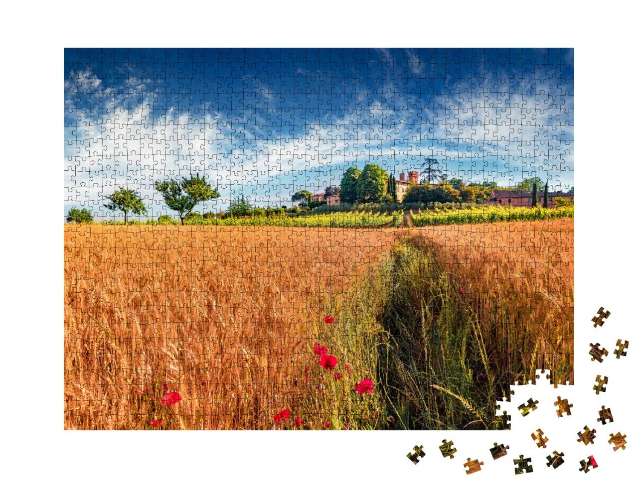 Puzzle de 1000 pièces « Vue d'été d'un champ de blé »