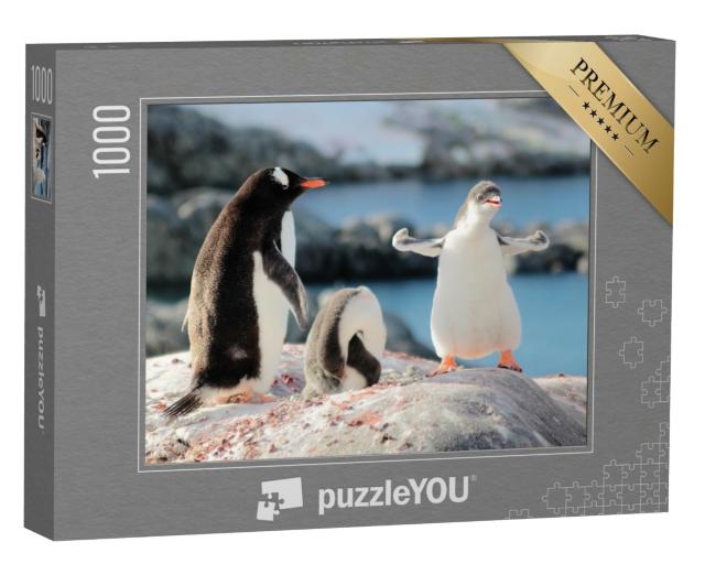 Puzzle de 1000 pièces « Qui est le pingouin le plus fort ? »