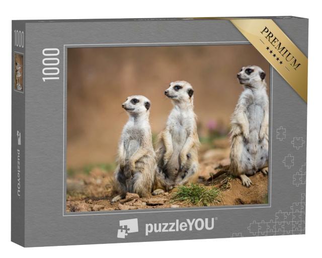 Puzzle de 1000 pièces « Les suricates montent la garde »