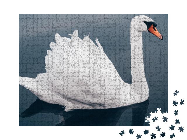 Puzzle de 1000 pièces « Gros plan d'un cygne blanc sur l'eau »