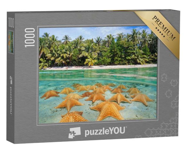 Puzzle de 1000 pièces « Un groupe d'étoiles de mer sur une plage des Caraïbes »