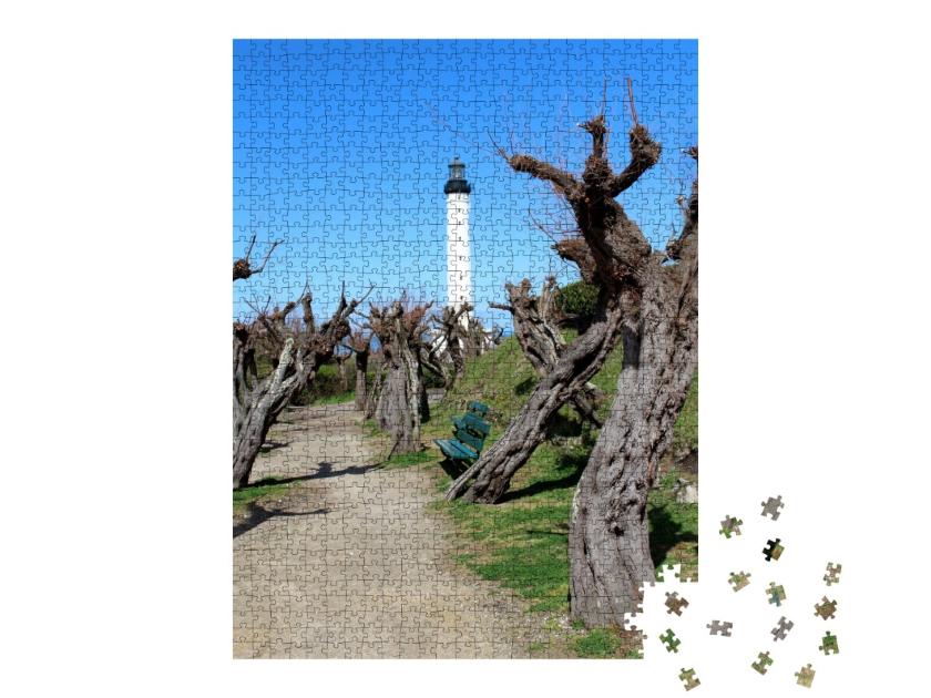 Puzzle de 1000 pièces « La belle Biarritz dans le sud de la France. »
