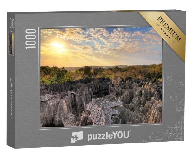 Puzzle de 1000 pièces « Magnifique vue sur le parc national de Tsingy de Bemaraha, Madagascar »
