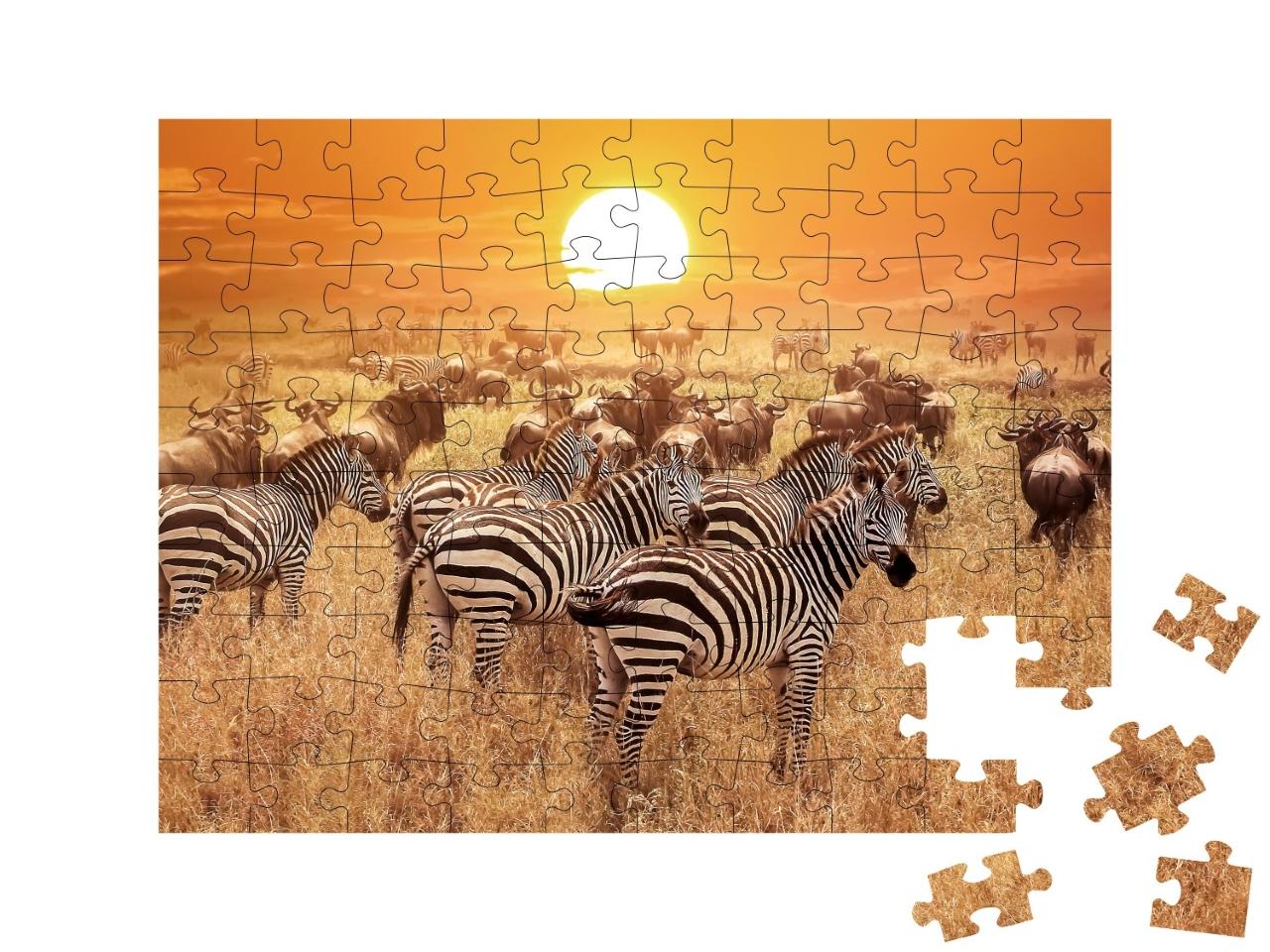Puzzle de 100 pièces « Zèbre au coucher du soleil dans le parc national du Serengeti, Afrique, Tanzanie »