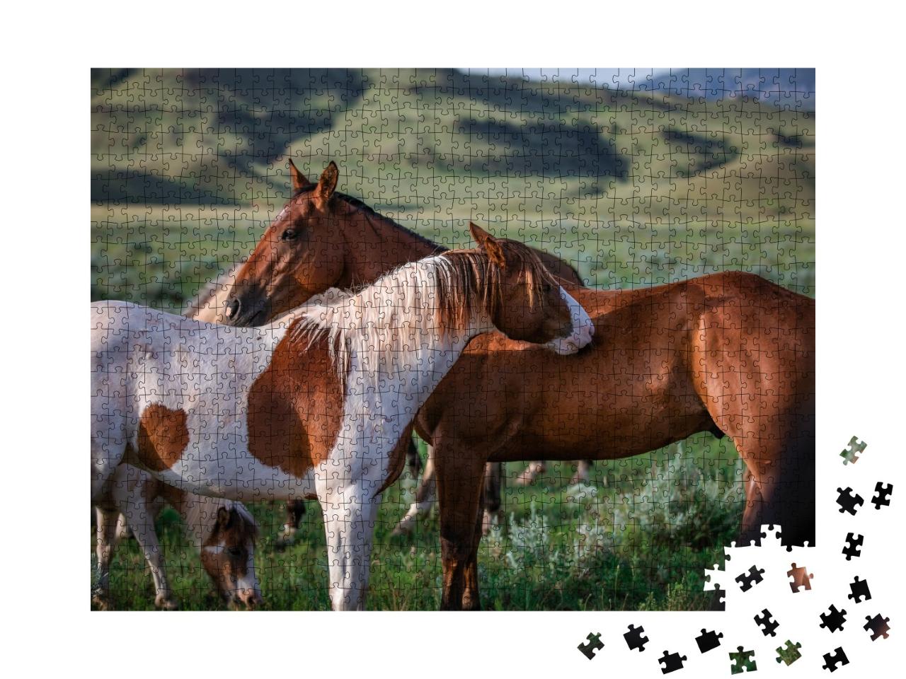 Puzzle de 1000 pièces « Paintpony et cheval de ranch, Montana, USA »