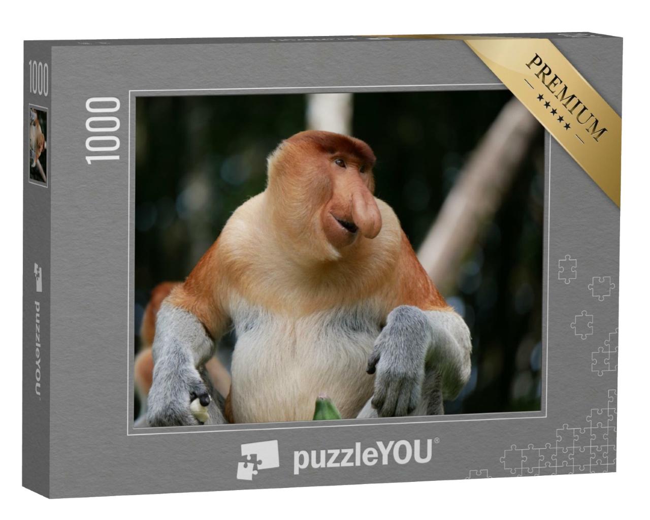 Puzzle de 1000 pièces « Singe proboscis mâle adulte ou singe à long nez »