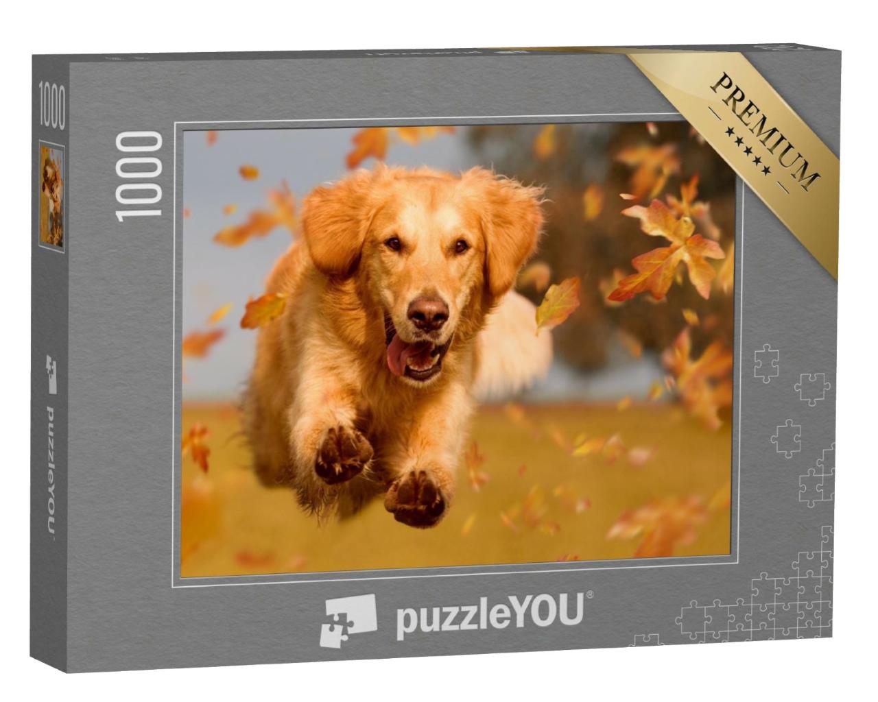 Puzzle de 1000 pièces « Golden Retriever s'ébattant dans les feuilles d'automne »