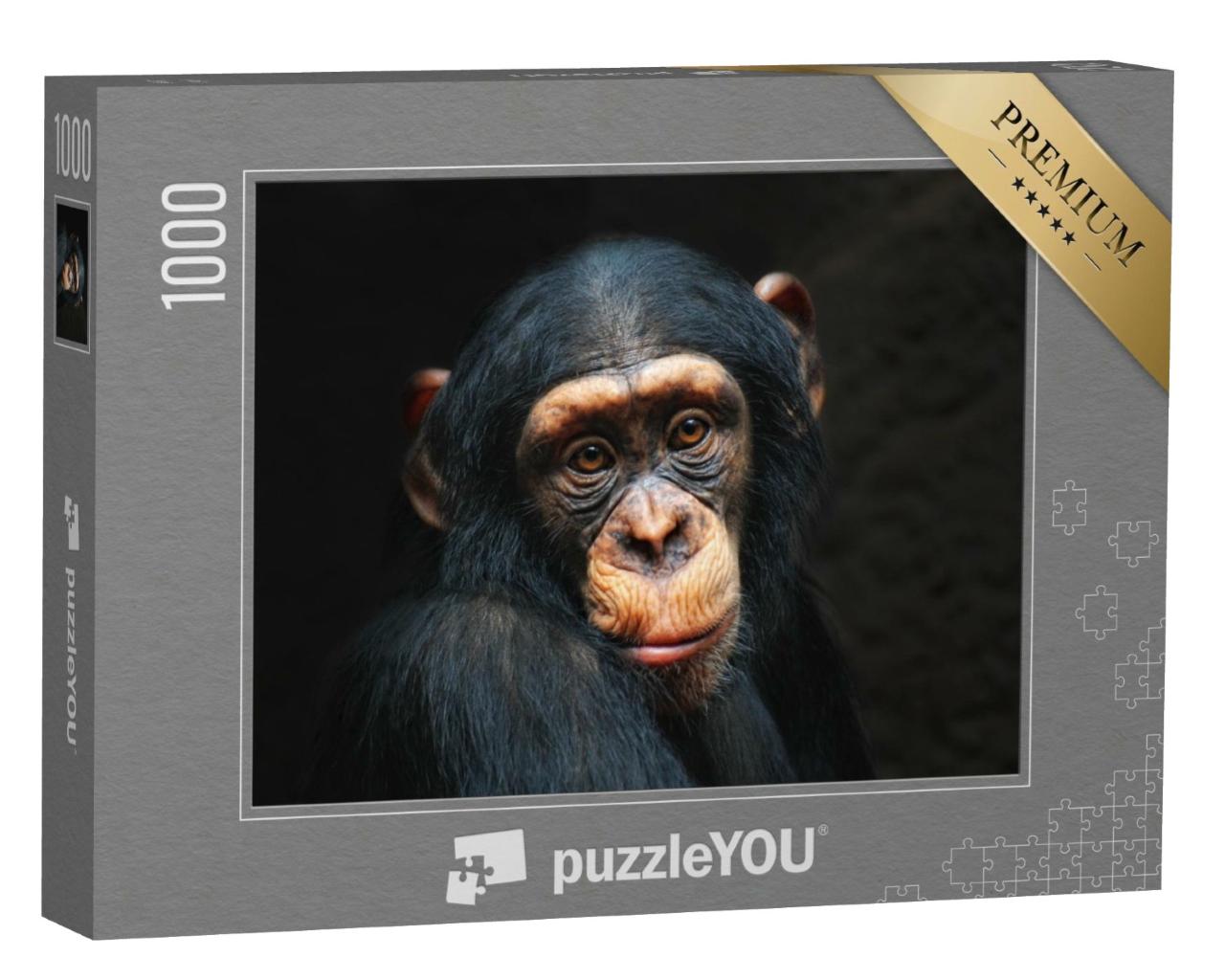Puzzle de 1000 pièces « Portrait d'un chimpanzé »