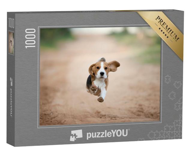 Puzzle de 1000 pièces « Un chiot beagle dans une arrière-cour »