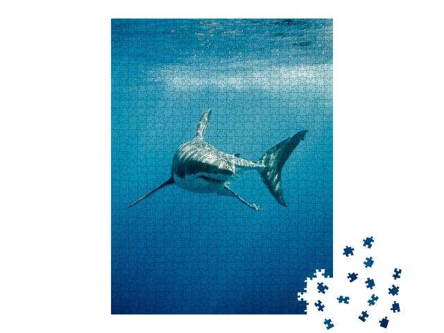 Puzzle de 1000 pièces « Le grand requin blanc dans l'océan bleu »